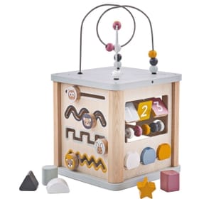 Activity Cube - FSC image