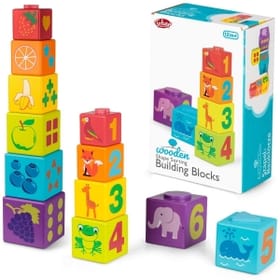 Shape Sorting Building Blocks image