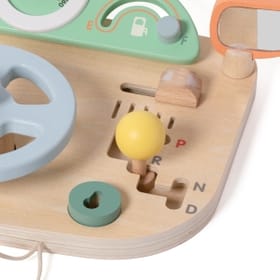Multi-Function Steering Wheel Close Up