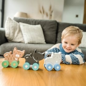 Kitty Push Toys image 1
