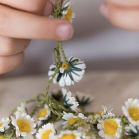 Make A Silk Daisy Chain image 2
