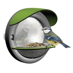 Window Bird Feeder image 1