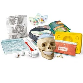 Crazy Anatomy image 2