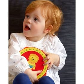 Lion Tambourine image 2