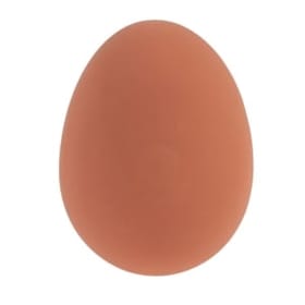 Bouncy Egg image