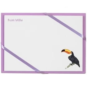 Named Cards - Toucans image