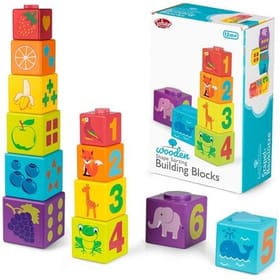Shape Sorting Building Blocks image