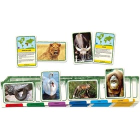 Animals of the World Game image 2