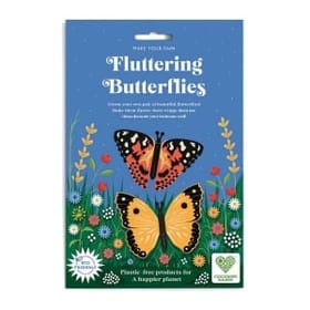 Fluttering Butterflies image 1