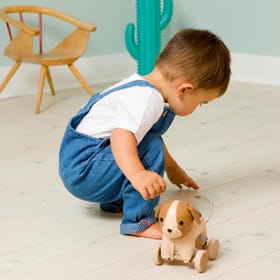 Child playing with Pull Along Dog