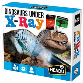 Dinosaurs Under X-Ray