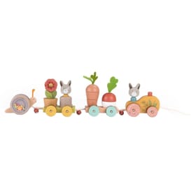 Pull Along Activity Train