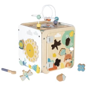 Multi Activity Cube