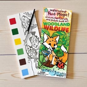 Paint Magic - Woodland Wildlife image 1