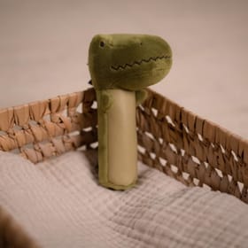 Rex the Tyrannosaurus Squeaker image 1