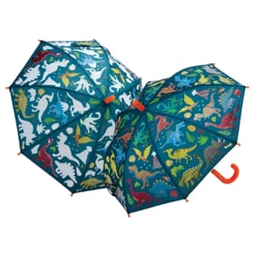 Dinosaur Colour Changing Umbrella