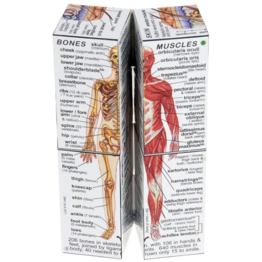 Zoobookoo Cube Book - Human Body