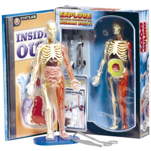Human Body Kit