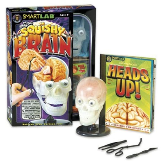 Squishy Brain Kit