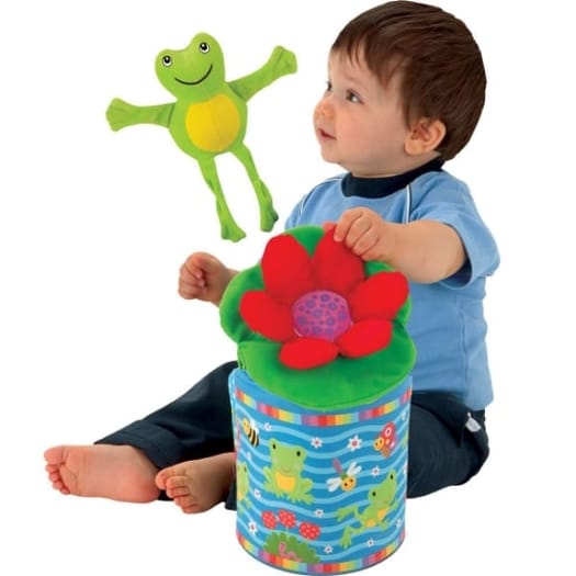 Frog In A Box