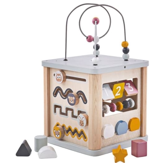 Activity Cube - FSC