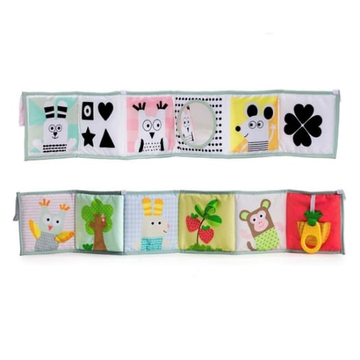 3 in 1 Baby Book