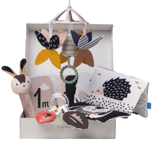Hello Baby - Black & White Newborn Kit