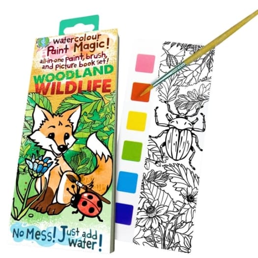 Paint Magic - Woodland Wildlife
