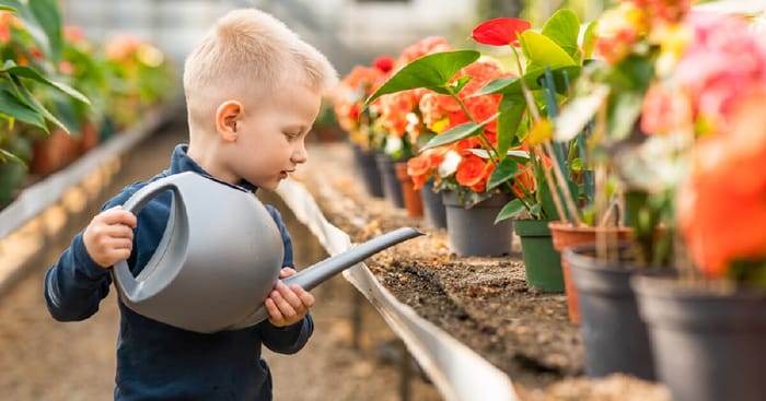 Boy watering flowers