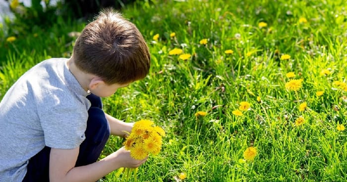 Child with a dandelion in spring