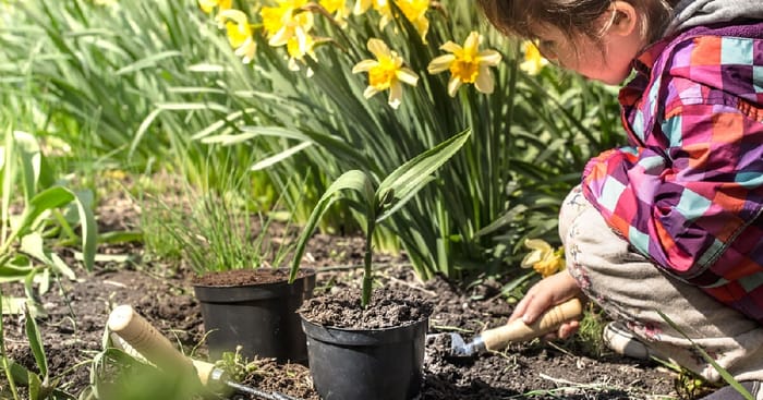 Girl planting flowers in the garden