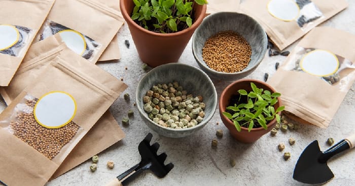 Seeds