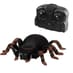 RC Wall Climbing Tarantula image
