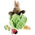Bunny in a Lettuce image 3