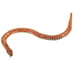 Wooden Snake image