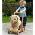 Dexter Dog Push Along image 2