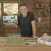 Ant World image 3