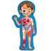 Human Body Puzzle image 3