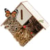 Insect Hotel image 1