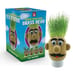 Mr Grasshead image 1