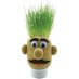 Mr Grasshead image 2