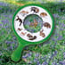 Nature Explorer image 3