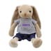 Personalised Mr Rabbit image