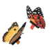 Fluttering Butterflies image 3