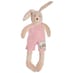 Sylvain Rabbit image