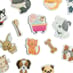 Muddy Paws Colour Changing Bath Stickers image 2