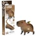EUGY Puzzle - Capybara and box