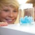 Child Watching Crystal Growing