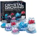 Crystal Growing Experiment Kit