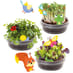 Build a Treehouse Garden Plants